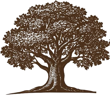 Жилищен комплекс Вековният Дъб